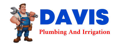 Trusted plumber in BICKNELL